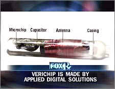 3_21_225_v_chip.jpg (8398 bytes)